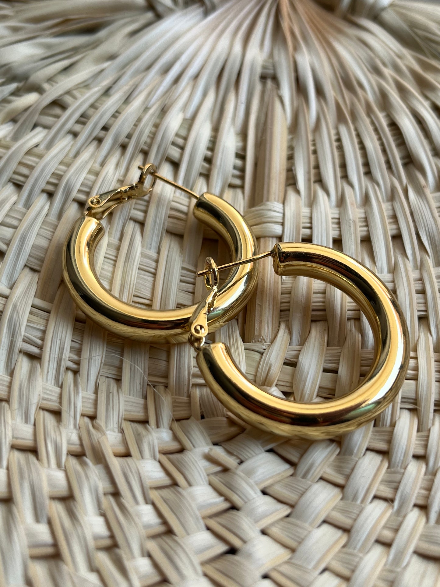 Sonia Hoops